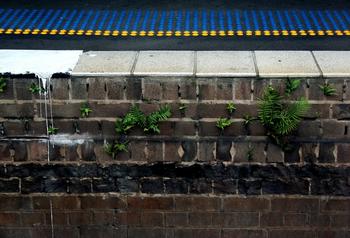 �齫�һ���Ƶ��Ƶ��ʮ�˽�����ȫ�ṫ��9�����ᷨ���г����������...